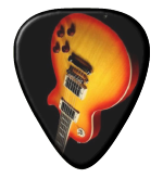 12 X Les Paul Guitar