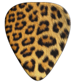 12 x Leopard Skin