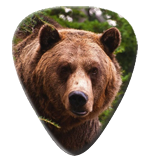 12 Bear Guitar Picks