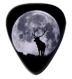 12 Moose Guitar Picks