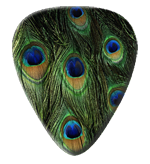 12 Peacock Feather Guitar Picks