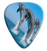 12  Dolphin Guitar Picks