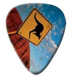 12 X Kangaroo Stop Sign Picks