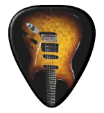 12 x Stratocaster Guitar