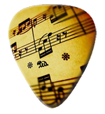 12 X Sheet Music Guitar Picks